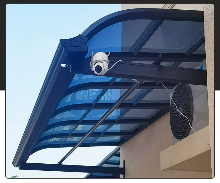 rising dragon caseD (3).jpg