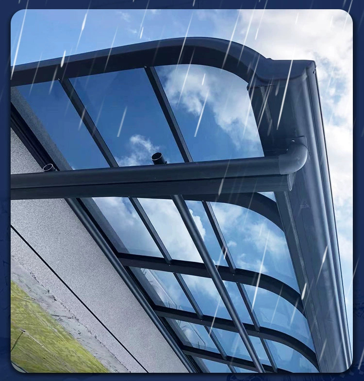 rising dragon caseD (4).jpg