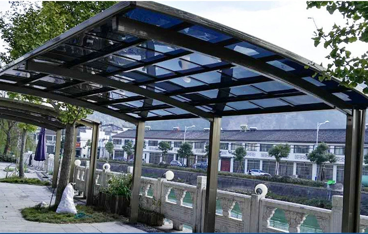 rising dragon caseD (2).jpg