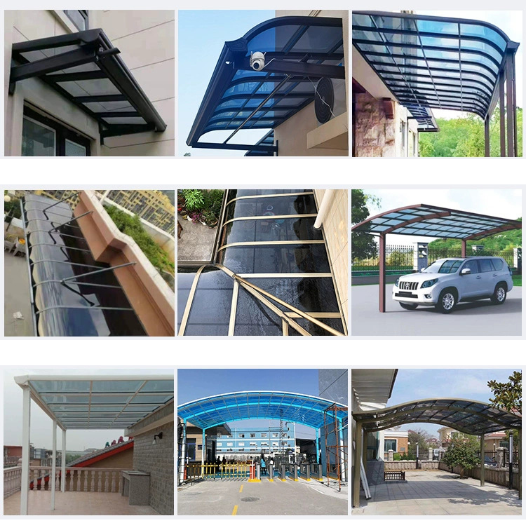 rising dragon caseD (6).jpg