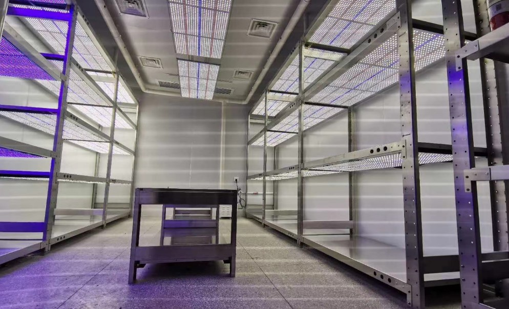 1717425114714363.jpg rising dragon251.jpg